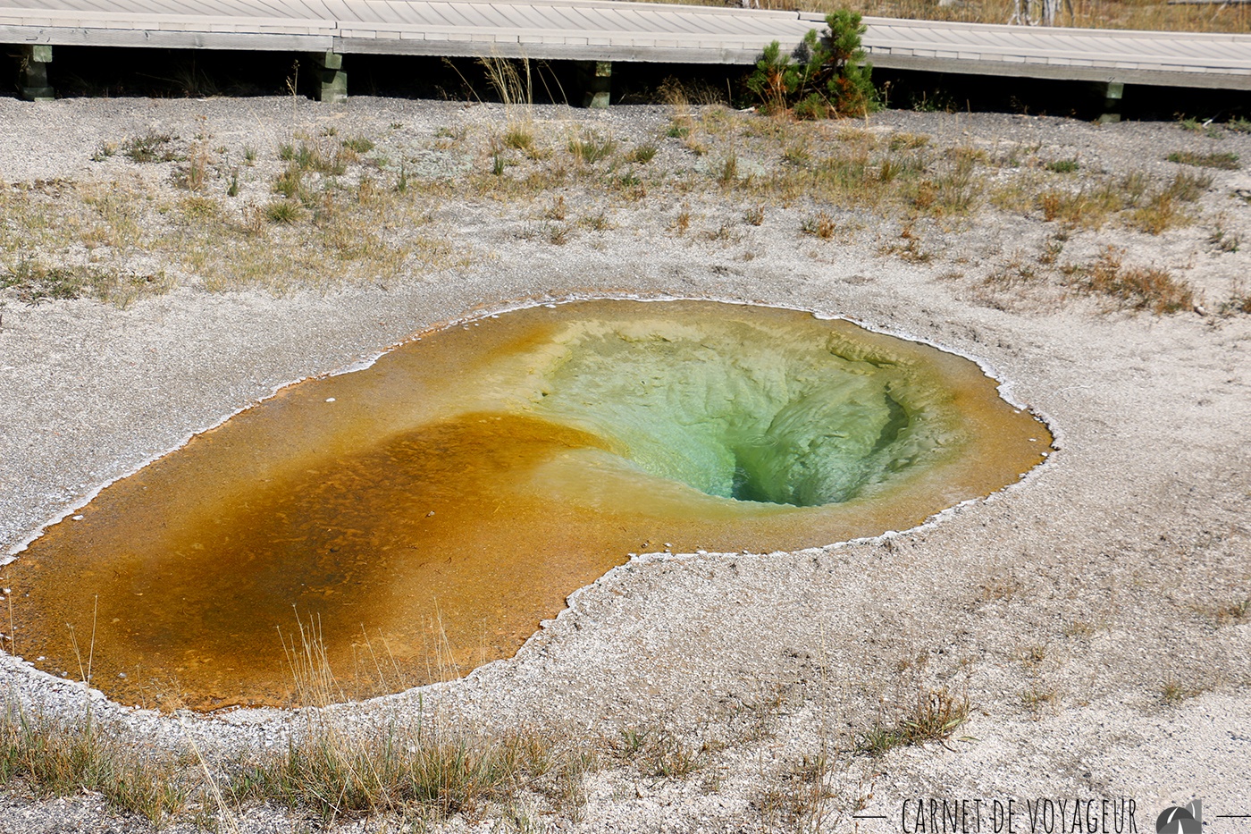 geysers biscuit basin