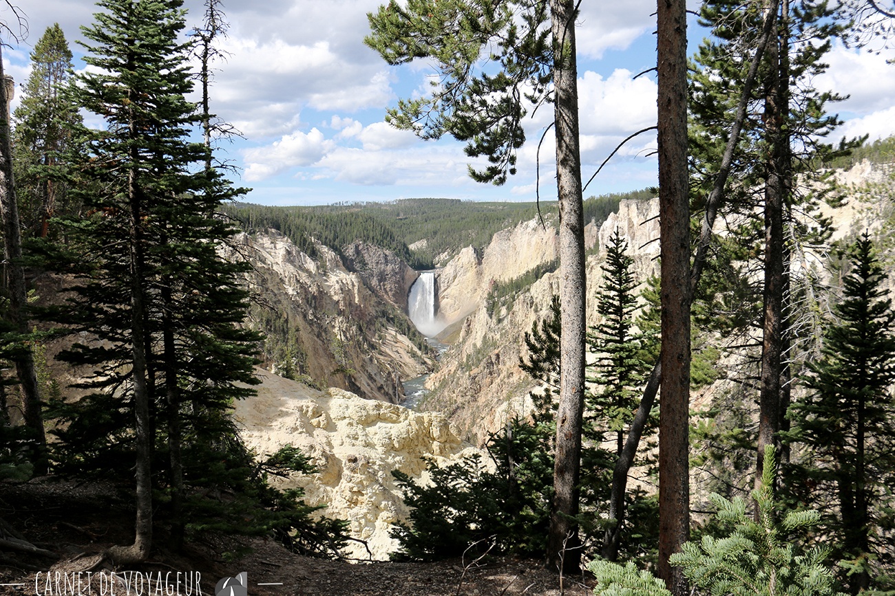 grand canyon du yellowstone