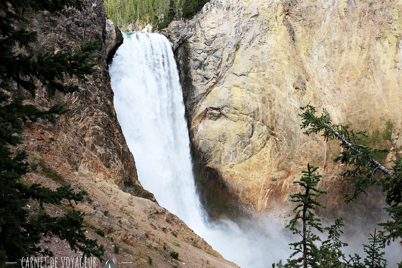 grand canyon yellowstone 2