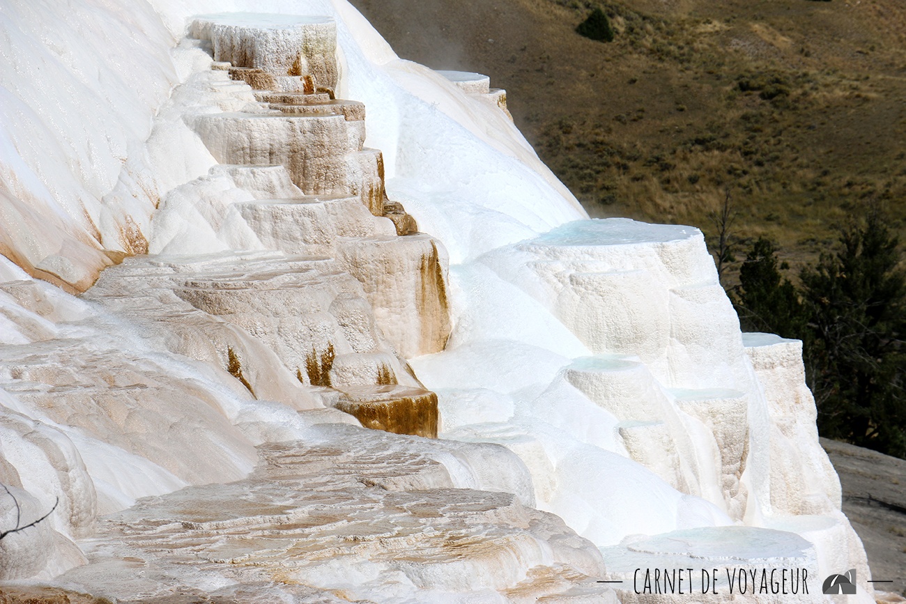mammoth hot springs