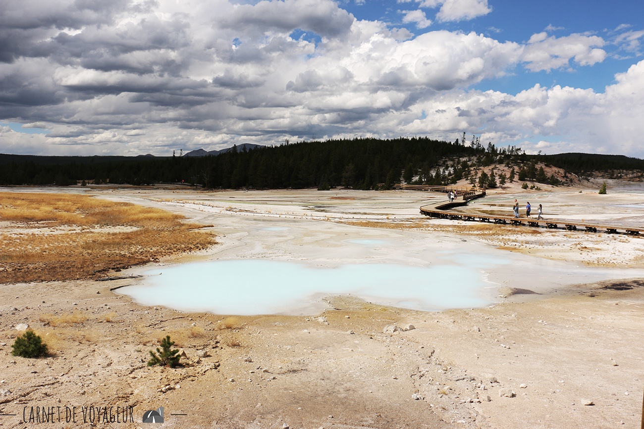 norris geyser basin 2