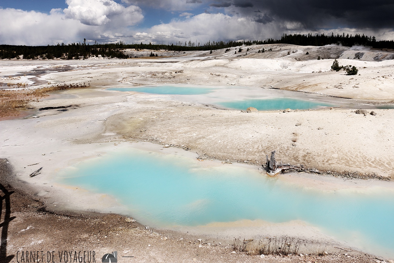 norris geyser basin