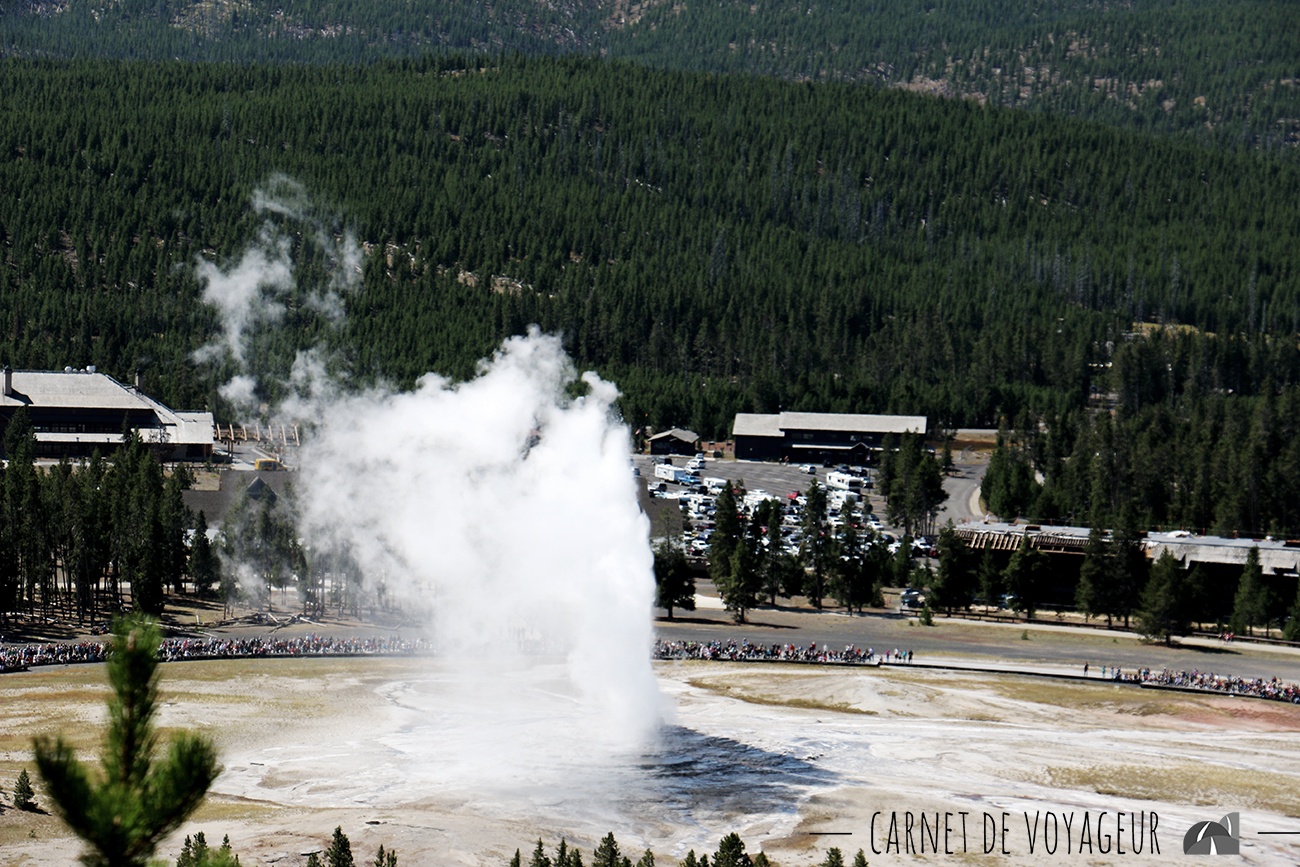 old faithful