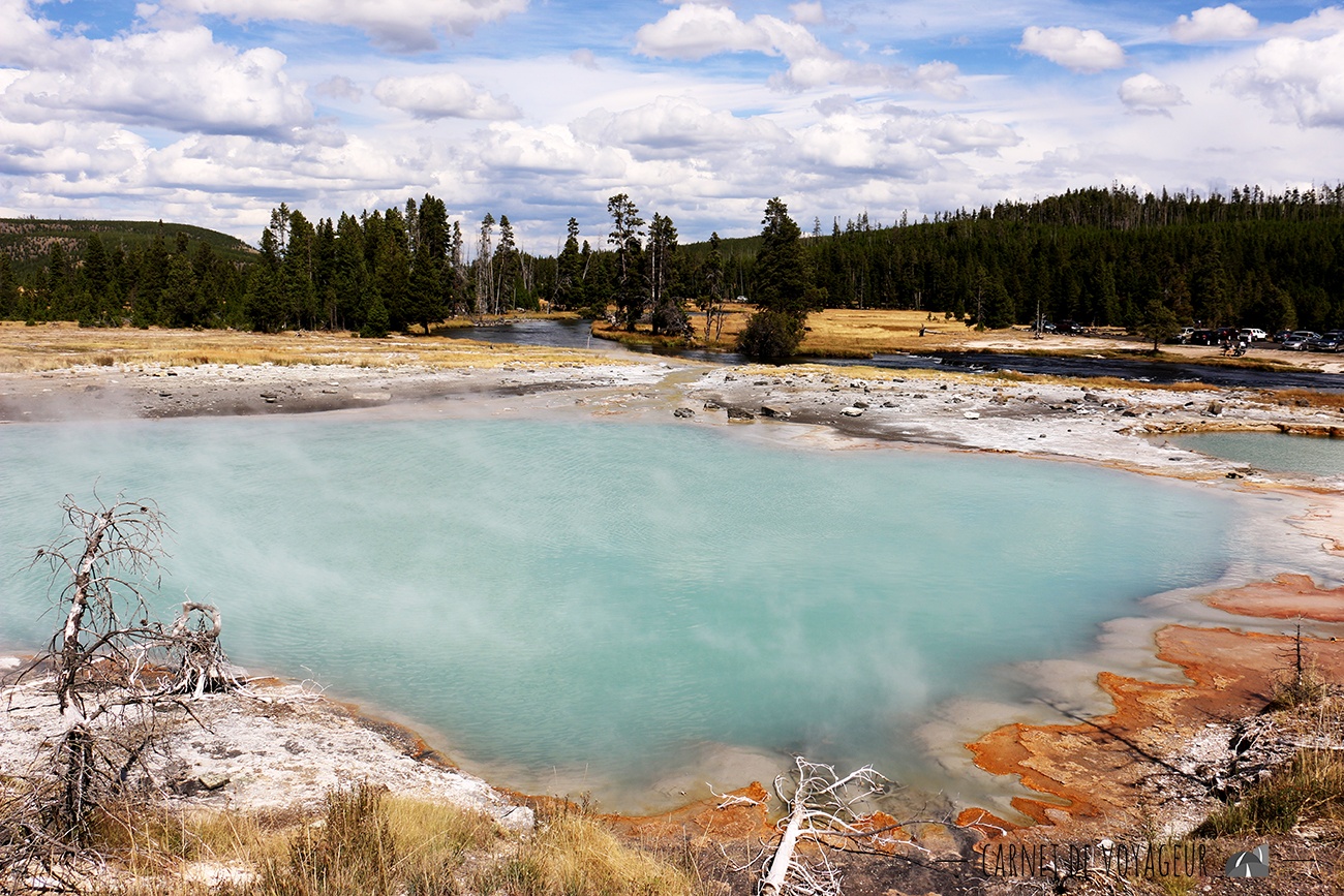 upper geyser basin 2