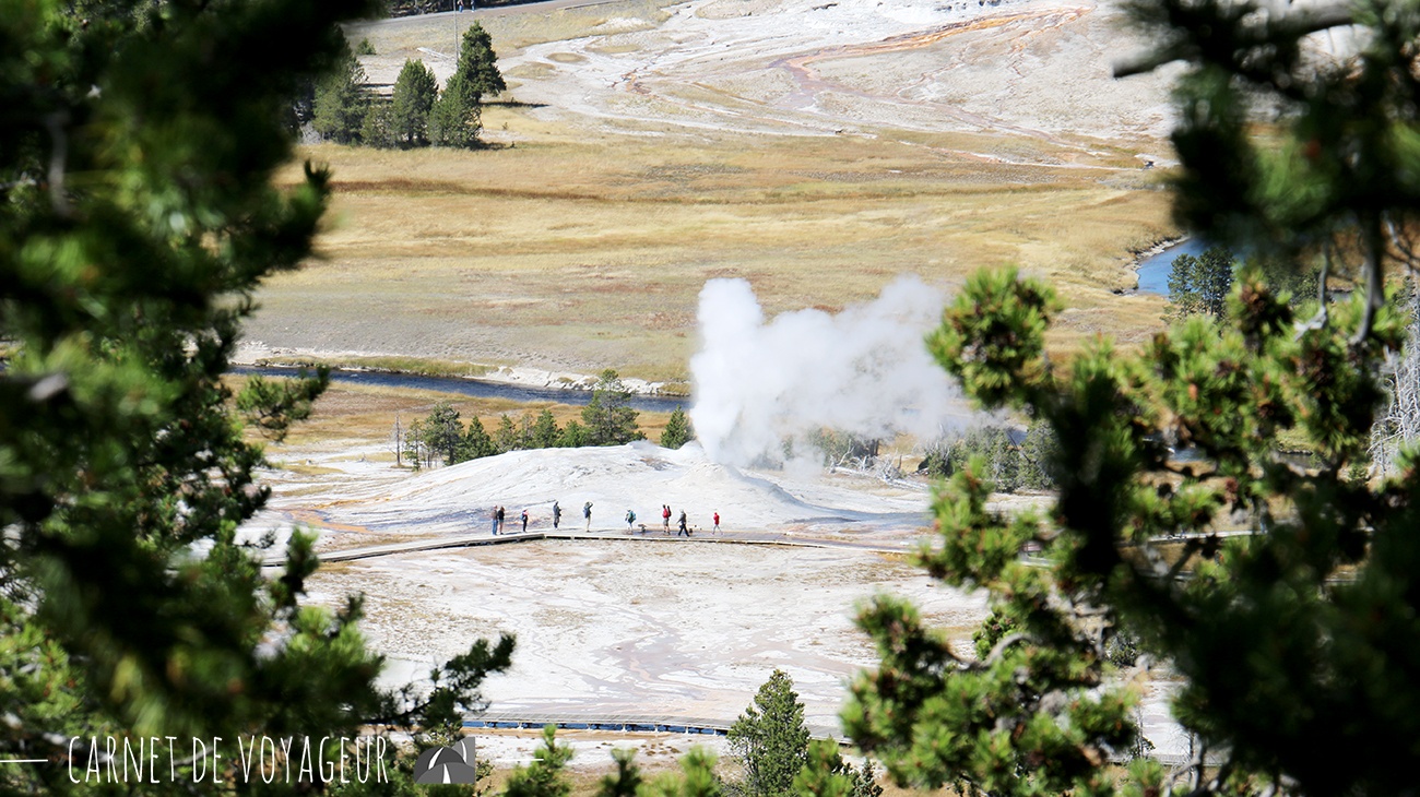 upper geyser basin