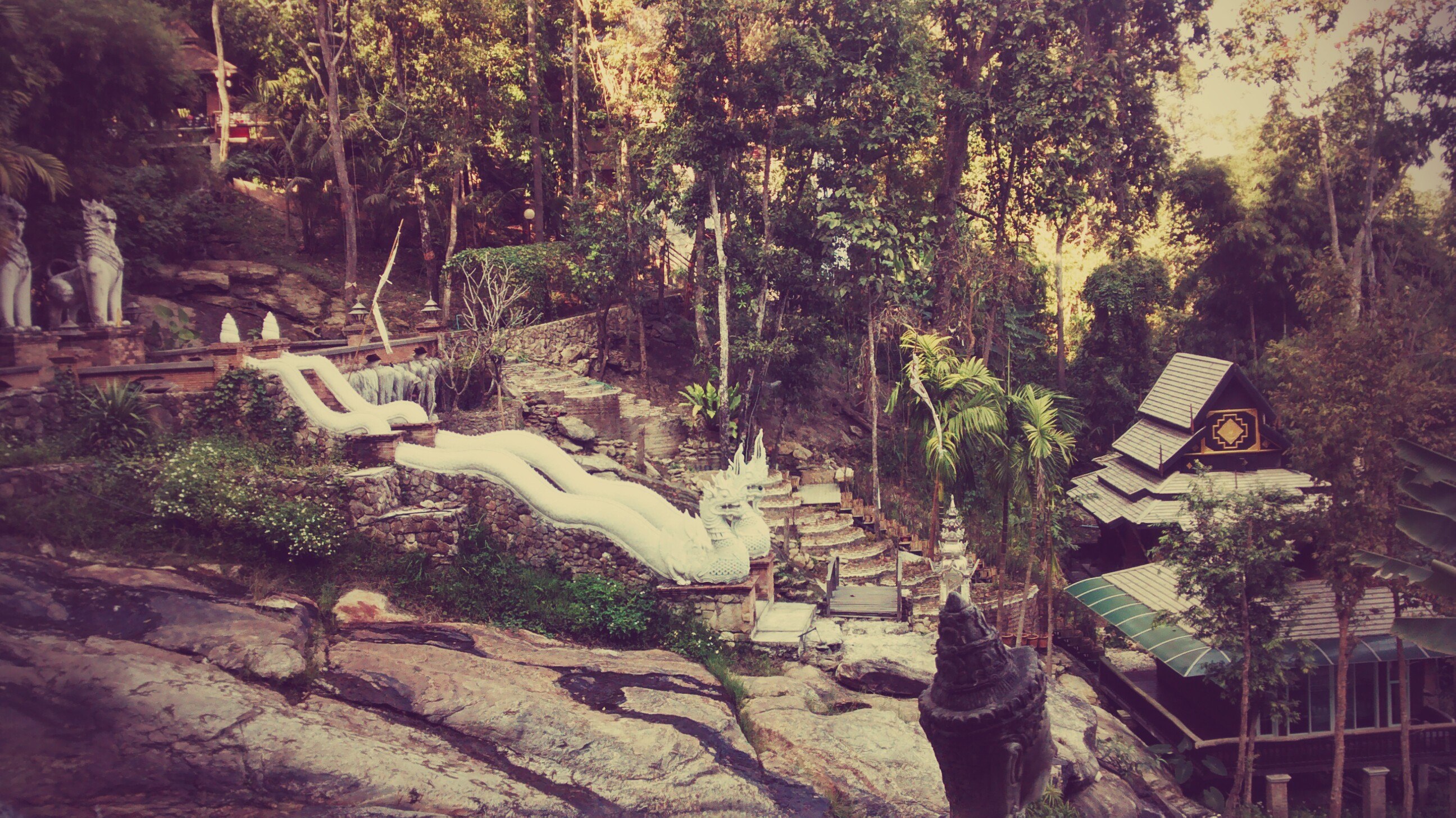 Découverte du samedi : le temple de Wat Pha Lat
