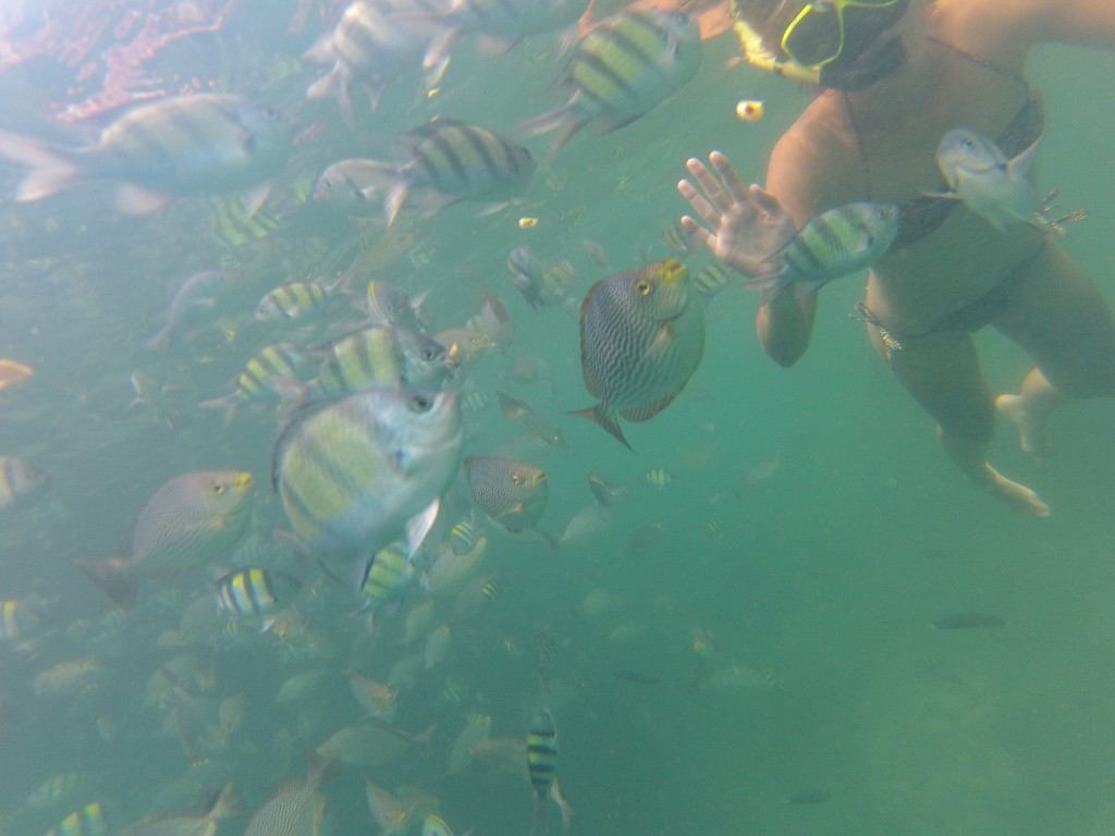 snorkeling Koh Lanta